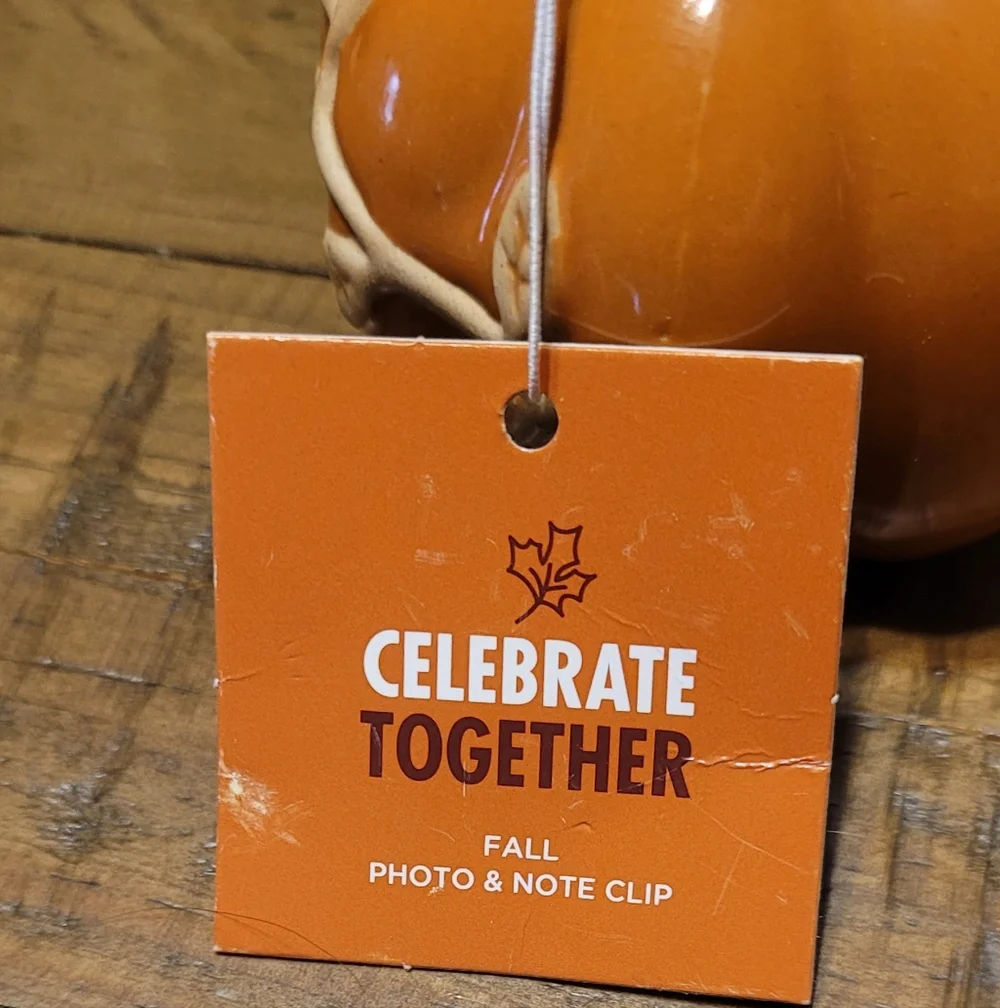 Orange Ceramic Fall Pumpkin Photo Clip Holder From Target, Orange And Gold